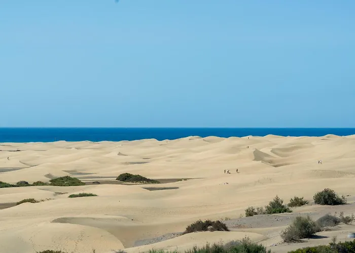 아파트 Parque Agaete Near 마스팔로마스